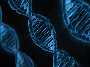Your DNA May Be Next Place Your Data Is Stored
